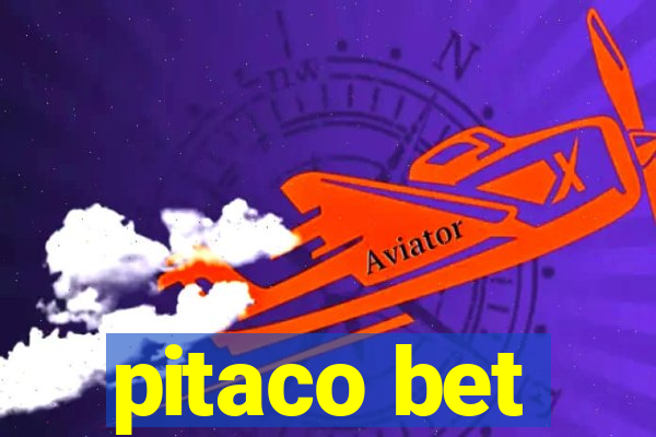 pitaco bet